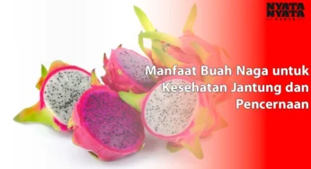 Manfaat Buah Naga untuk Kesehatan Jantung dan Pencernaan