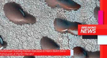 Penemuan Kacang Merah Raksasa di Mars: Bukti Baru Kehidupan di Planet Merah?