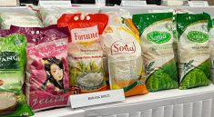 Beras Premium Kembali Hadir di Ritel Modern dengan Harga Lebih Terjangkau