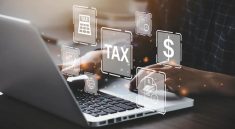 Penerimaan Pajak Digital Indonesia Capai Rp41,09 Triliun Hingga Agustus 2025